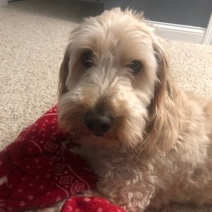 Meet your Posher, Zach